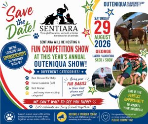 FUN COMPETITION DOG SHOW