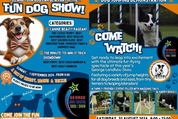 Fun Dog Show